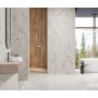 Плитка Intercerama 12060 159 021/L Celine 1200x600