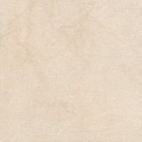 Intercerama Surface 6060 06 031 600X600