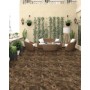 Плитка Italica Imperial Brown 1200x600