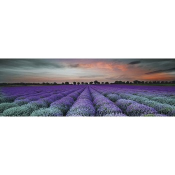 Konskie Ceramika Lavender Feld 250X750