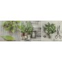 Konskie Ceramika Salerno Kitchen 3 Glass 200X600