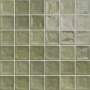 Плитка Mainzu Дікс Чауен Форест 200x200