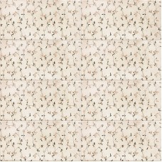 Mainzu Минерва 15x30