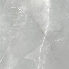 Плитка Megagres GMXN104P Grey Pol 600x600