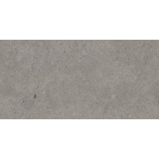 Плитка Mirage EY 04 Gris Catalan NAT SQ 1200x600