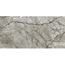 Плитка Opoczno Marble Skin Grey rect 598x1198