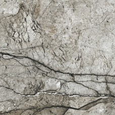Плитка Opoczno Marble Skin Grey 598x598