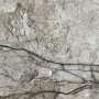Плитка Opoczno Marble Skin Grey 598x598