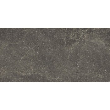 Плитка Opoczno Alistone Black rect 598x1198