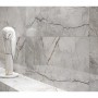 Плитка Opoczno Stone Hills Grey Glossy Rect 598x298