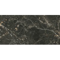 Плитка Opoczno Black Gold rect POL 598x1198