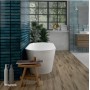Opoczno Fransua Mint Glossy 600X297