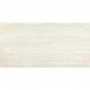 Плитка Pamesa Dorset Taupe 1200x600