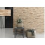 Pamesa Ceramica At. Titan Arena 520X170