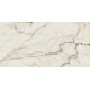 Плитка Paradyz Passion White SZKL RECT MAT 1198x598