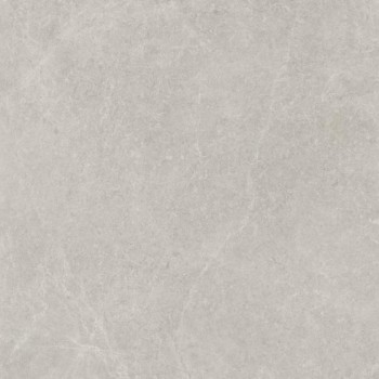 Плитка Paradyz Ceramika U118 Light Grey Gres Szkl. Rekt. Polpoler 598x598
