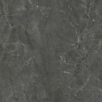 Плитка Paradyz U125 Graphite Rekt.Pol. 598x598
