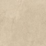 Плитка Paradyz Ceramika Authority Beige Gres Szkl. Rekt. Mat 598x598