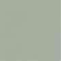 Плитка Paradyz Neve Creative Green 98x98
