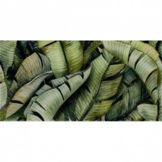 Paradyz Leaf В Inserto Uniwersalne 30X60