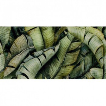 Paradyz Leaf В Inserto Uniwersalne 30X60