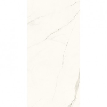 Paradyz Calacatta Gres Szkl. Rekt. Маt 59,8X119,8