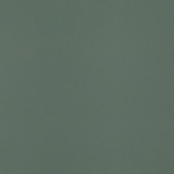 Плитка Paradyz Neve Creative Dark Green MAT 1 198x198