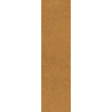 Paradyz Aquarius Brown Elewacja 65X245