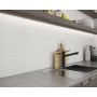 Paradyz Scandiano Bianco Elewacja 66X245