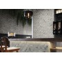 Плитка Paradyz Mattone Pietra Grafit Klinkier 300x300