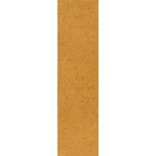 Paradyz Aquarius Beige Elewacja 65X245