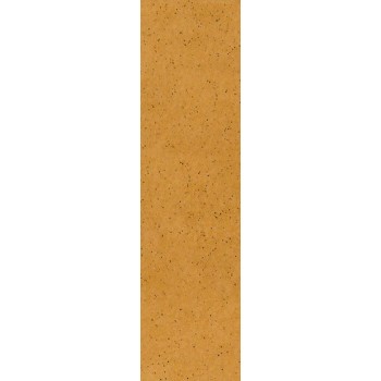 Paradyz Aquarius Beige Elewacja 65X245