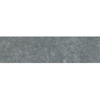 Paradyz Maxxis Grafit Elewacja 24,5X6,6