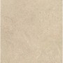 Плитка Paradyz Ceramika Authority Beige Gres Szkl. Rekt. Str Mat 595x595