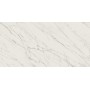 Плитка Paradyz Elite White RECT MAT 1198x598x8
