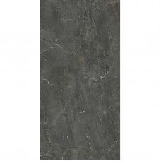 Плитка Paradyz U125 Graphite Rekt. Pol. 1198x598