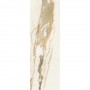 Paradyz Warm Wind Gold Sciana Rekt. Polysk 898X298