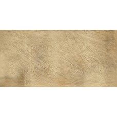Плитка Paradyz Eremite Sand STR 600x300