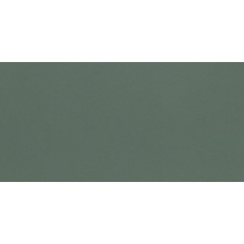 Плитка Paradyz Neve Creative Dark Green MAT 98x198