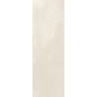 Paradyz Silence Silver Rect Połysk 250X750
