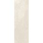 Paradyz Silence Silver Rect Połysk 250X750