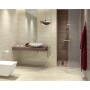 Paradyz Silence Silver Rect Połysk 250X750