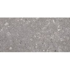 Плитка Paradyz Aragorn Grys Mat 600x300