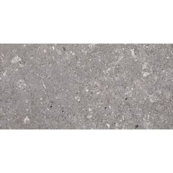 Плитка Paradyz Aragorn Grys Mat 600x300
