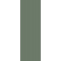 Paradyz Nightwish Green Rect 250X750