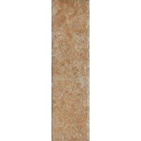 Paradyz Ilario Ochra Elewacja 66X245