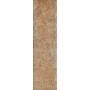 Paradyz Ilario Ochra Elewacja 66X245