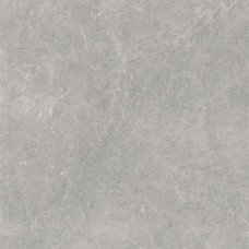 Плитка Paradyz Ceramika U118 Grey Gres Szkl. Rekt. Polpoler 598x598