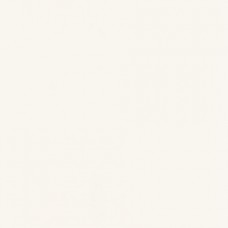 Плитка Paradyz Gamma Bianco 98x98x6,5