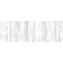 Peronda Torano Bianco Decor 33,3*100